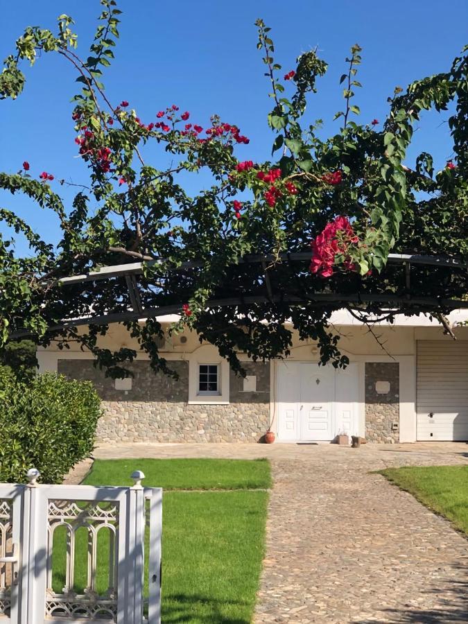 Villa Amalaya Flampouria 외부 사진