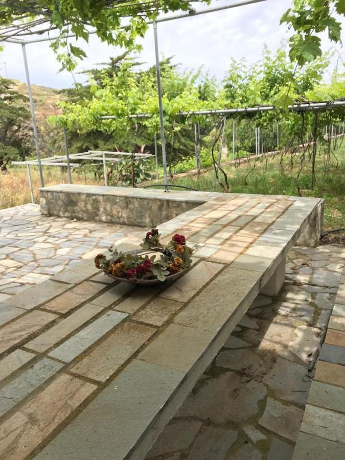 Villa Amalaya Flampouria 외부 사진